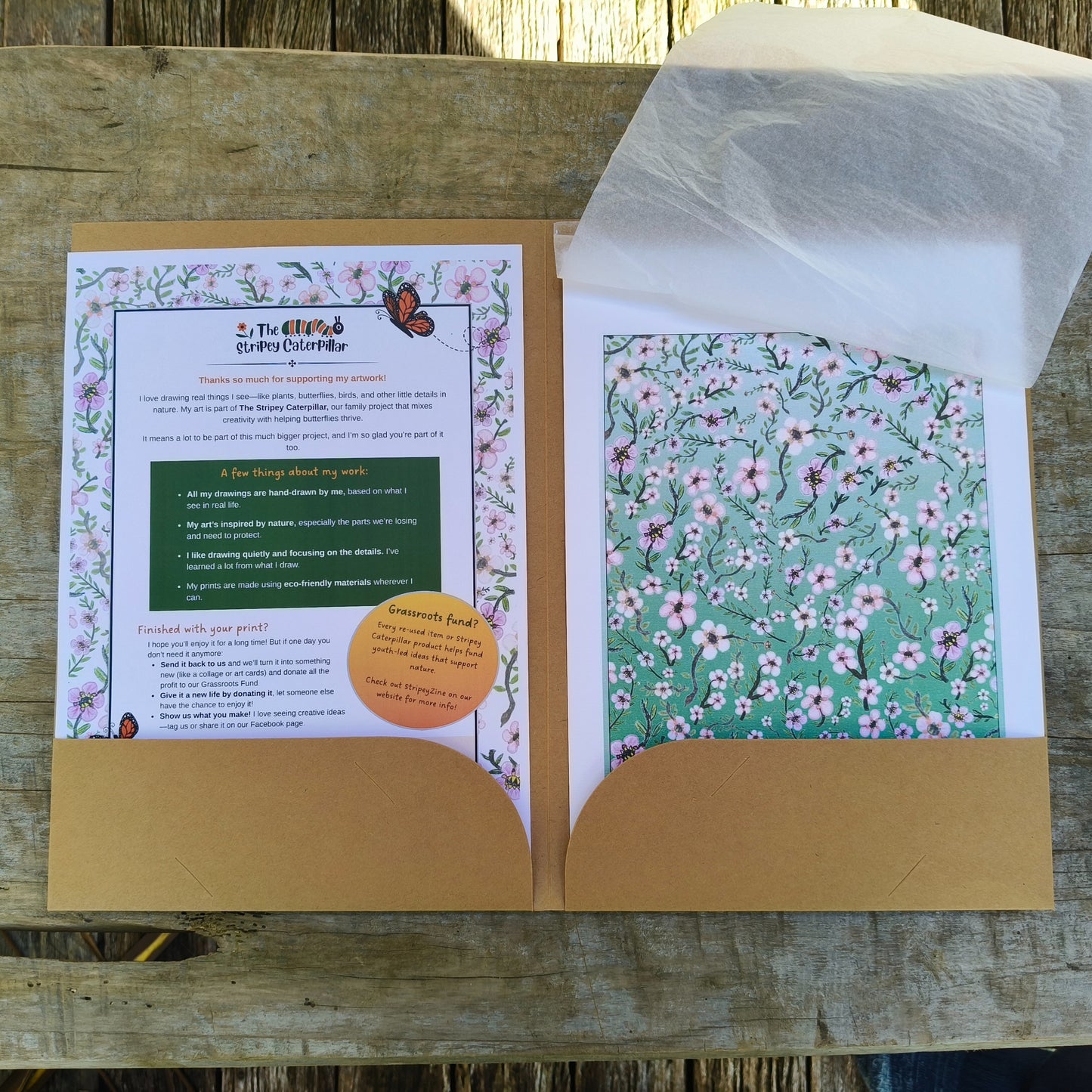 Hand-drawn image of New Zealand manuka flower by Milly avaiable in A4, A3, A2.