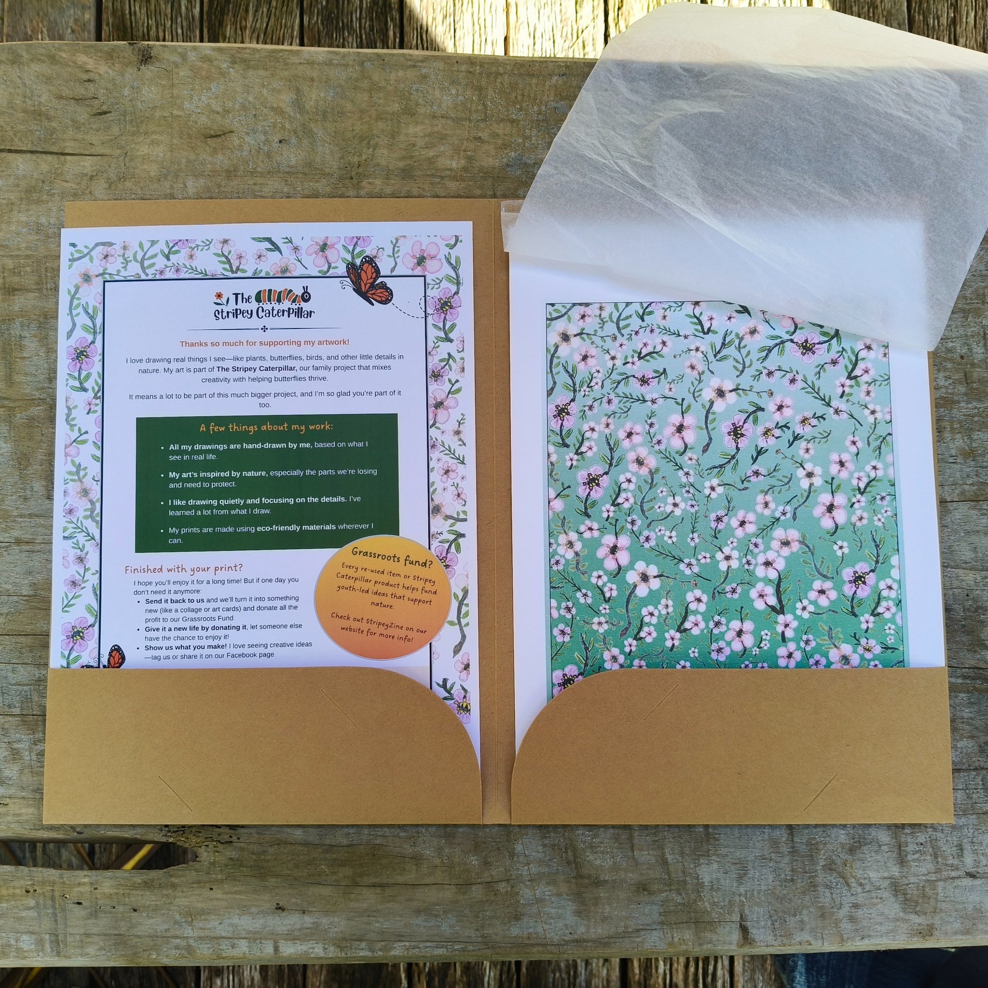 Hand-drawn image of New Zealand manuka flower by Milly avaiable in A4, A3, A2.