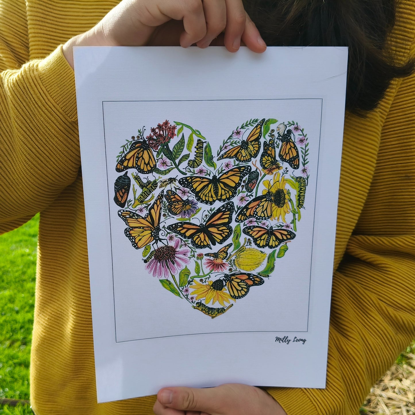 Hand-drawn butterfly heart picture by Milly from The Stripey Caterpillar.