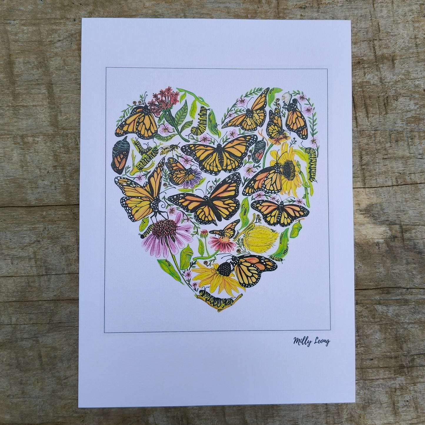 Hand-drawn butterfly heart picture by Milly from The Stripey Caterpillar.