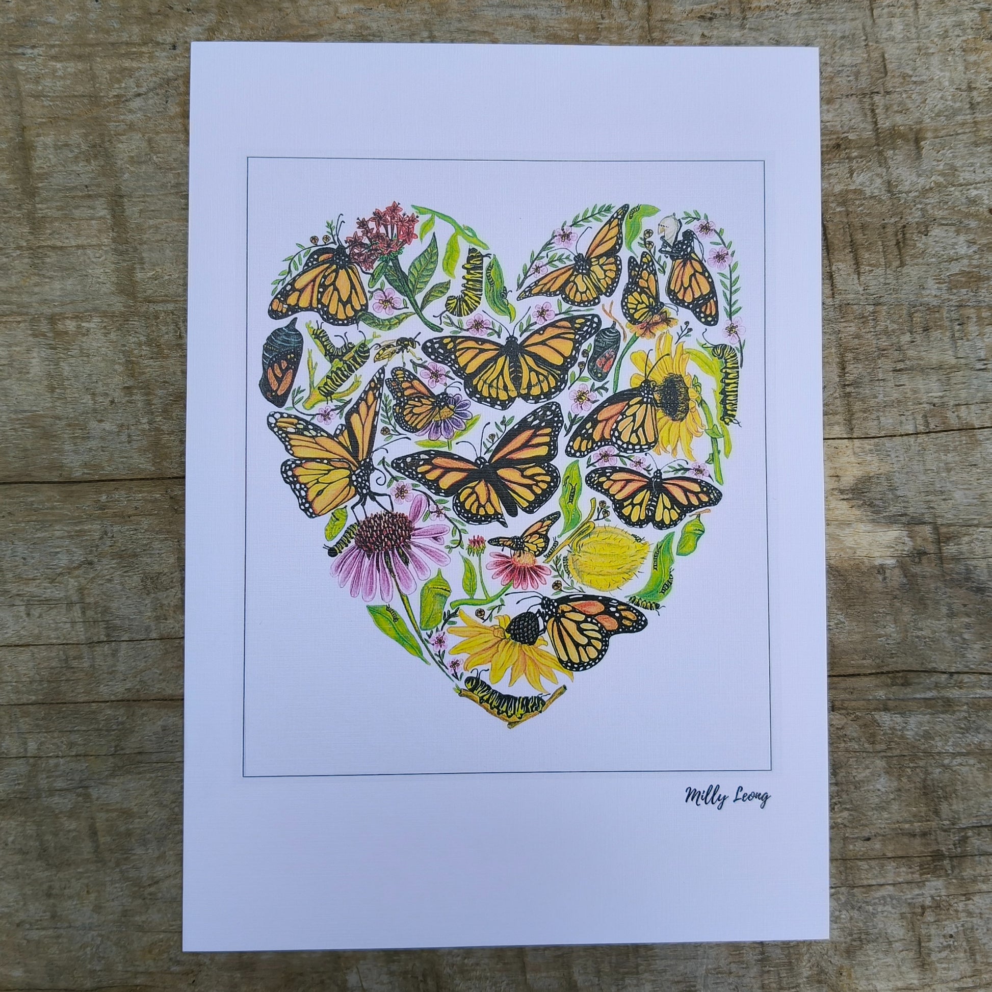 Hand-drawn butterfly heart picture by Milly from The Stripey Caterpillar.