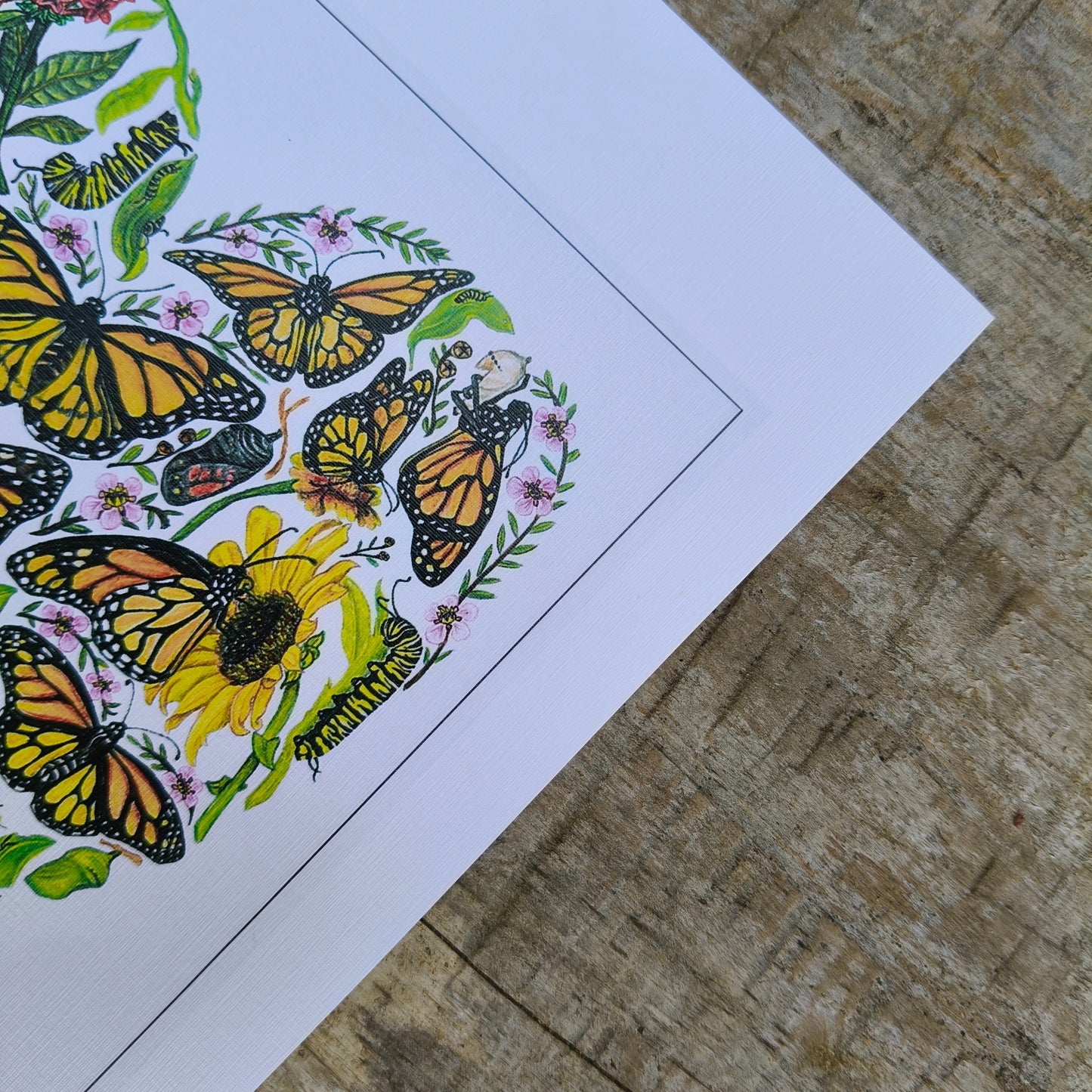 Hand-drawn butterfly heart picture by Milly from The Stripey Caterpillar.