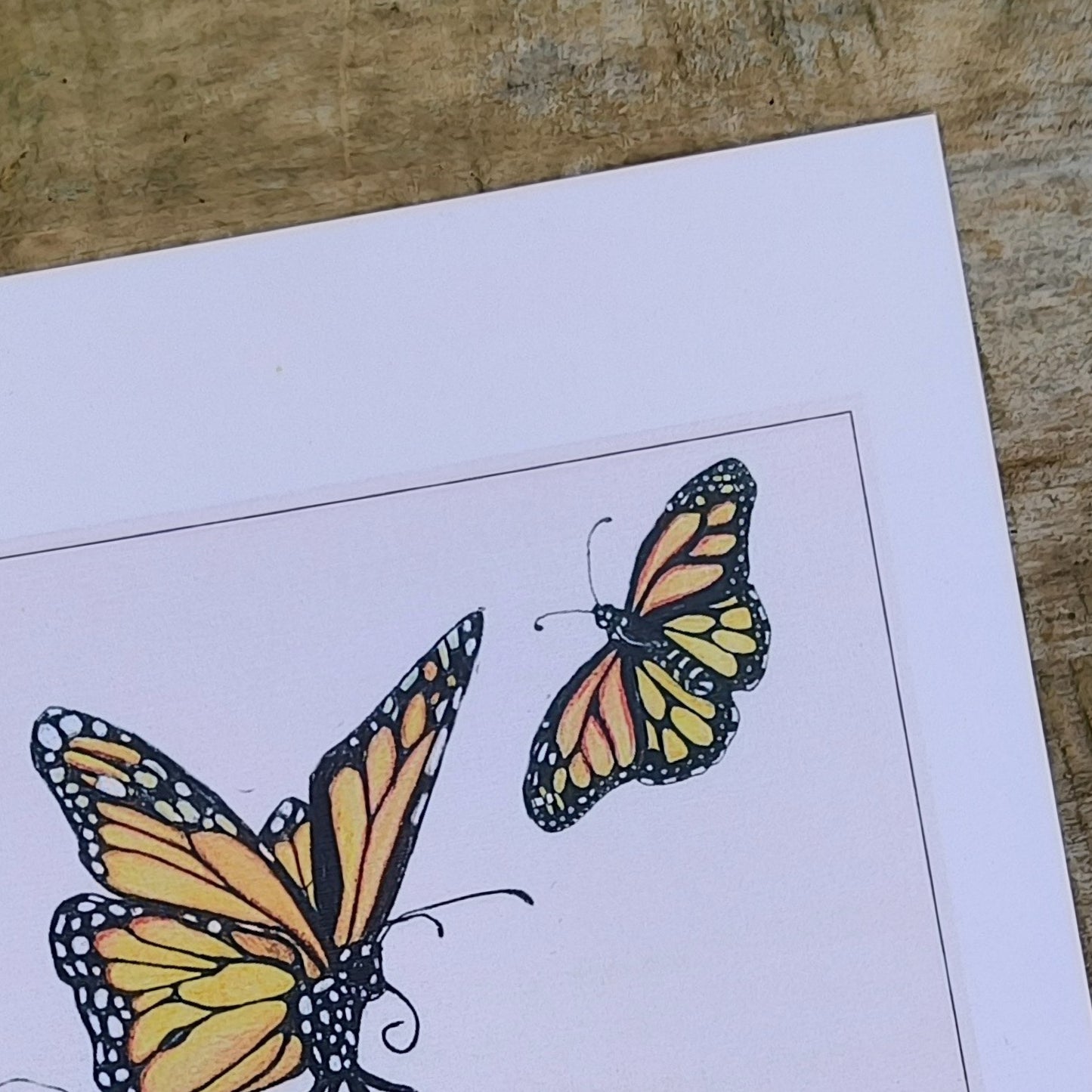 Hand-drawn butterfly art print by Milly – available in A4 and A3