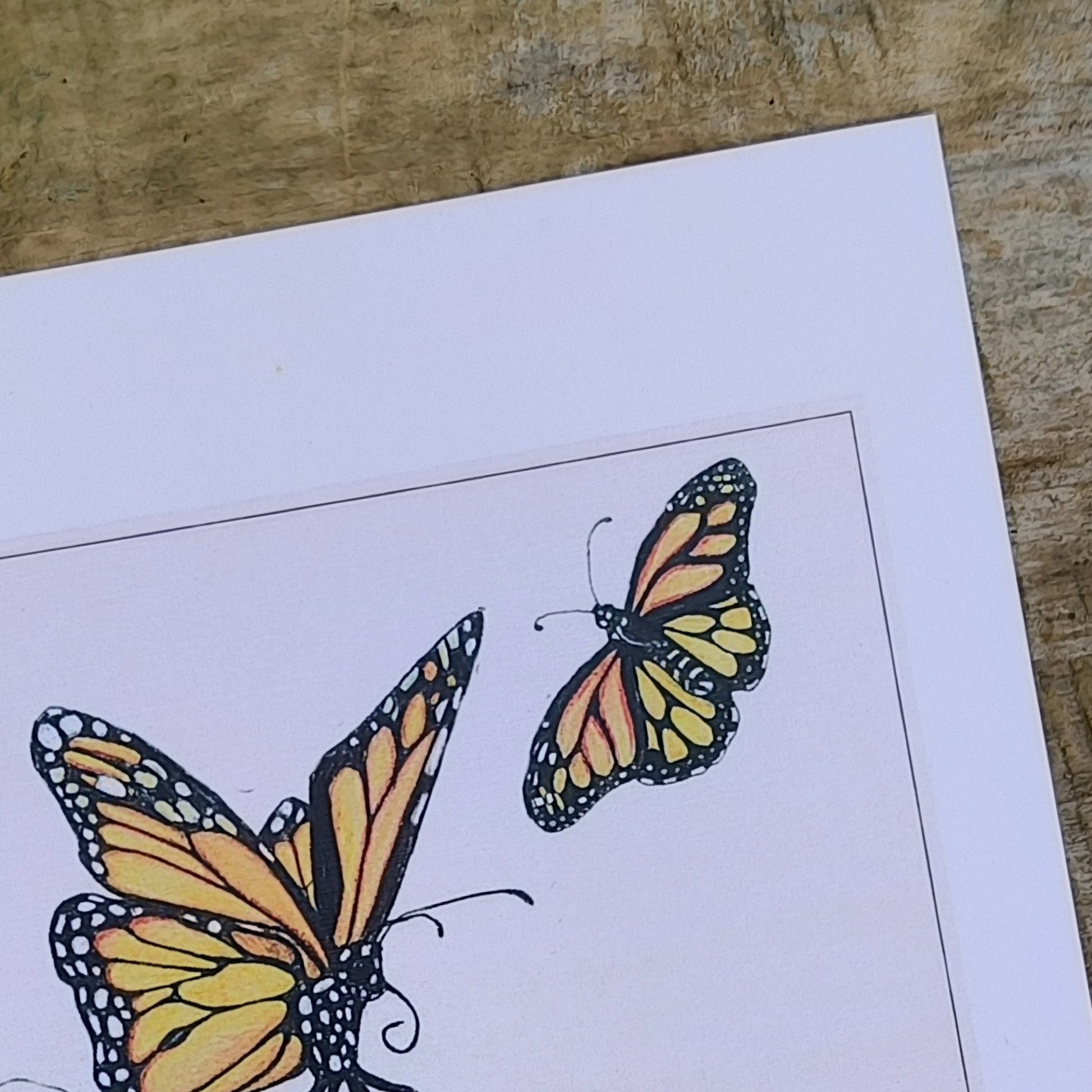 Hand-drawn butterfly art print by Milly – available in A4 and A3
