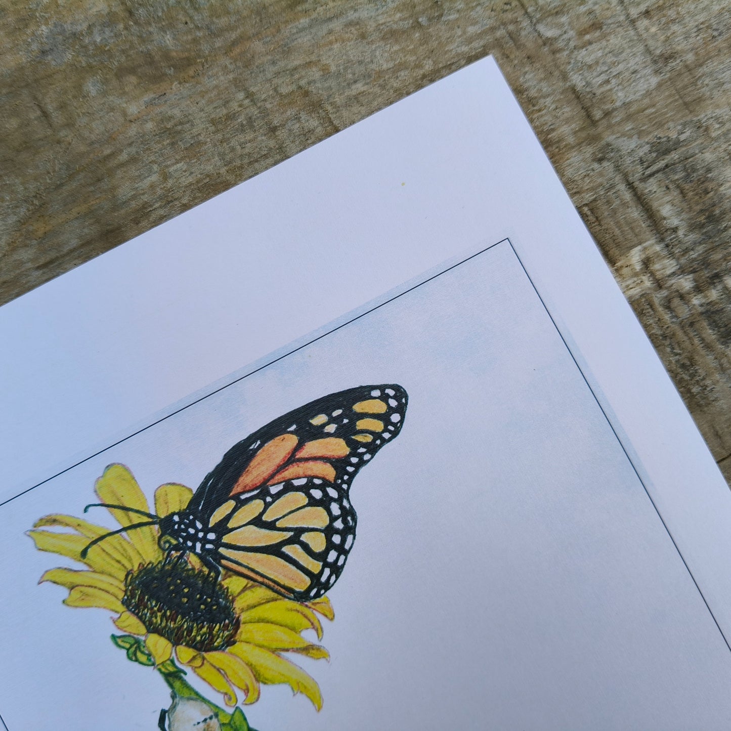 Hand-drawn butterfly art print by Milly – available in A4 and A3