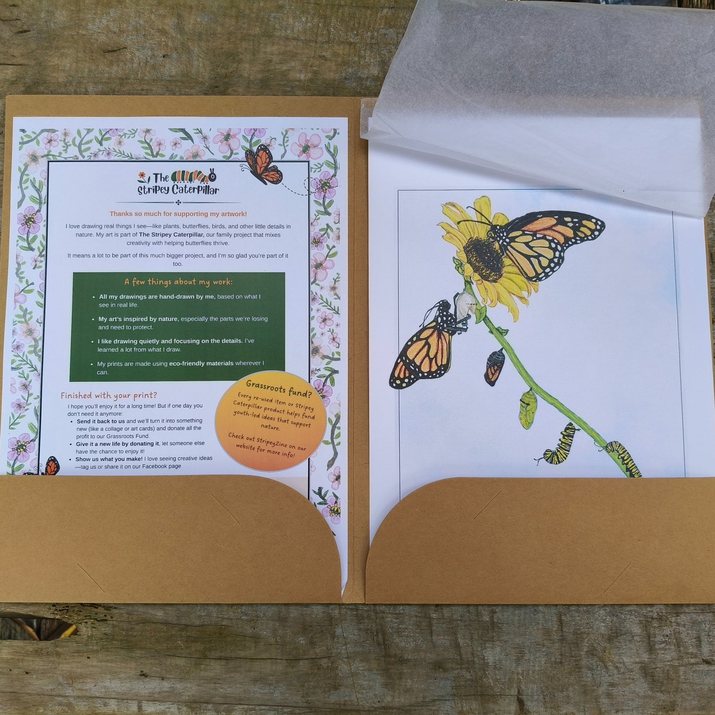 Hand-drawn butterfly art print by Milly – available in A4 and A3