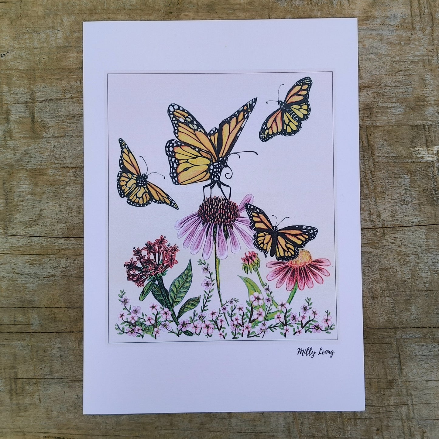 Hand-drawn butterfly art print by Milly – available in A4 and A3
