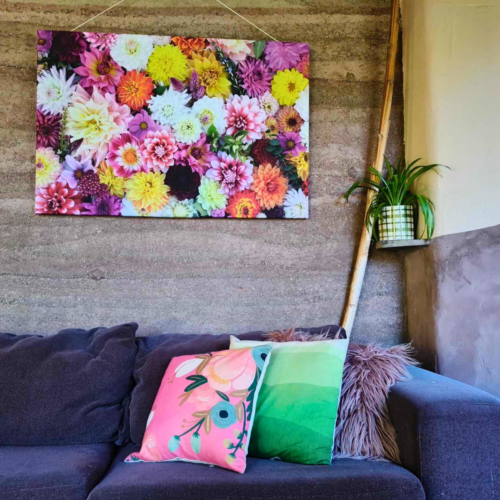 Mixed Dahlia Delight flatlay dahlia mixture all bred by Green Footed Kiwi.