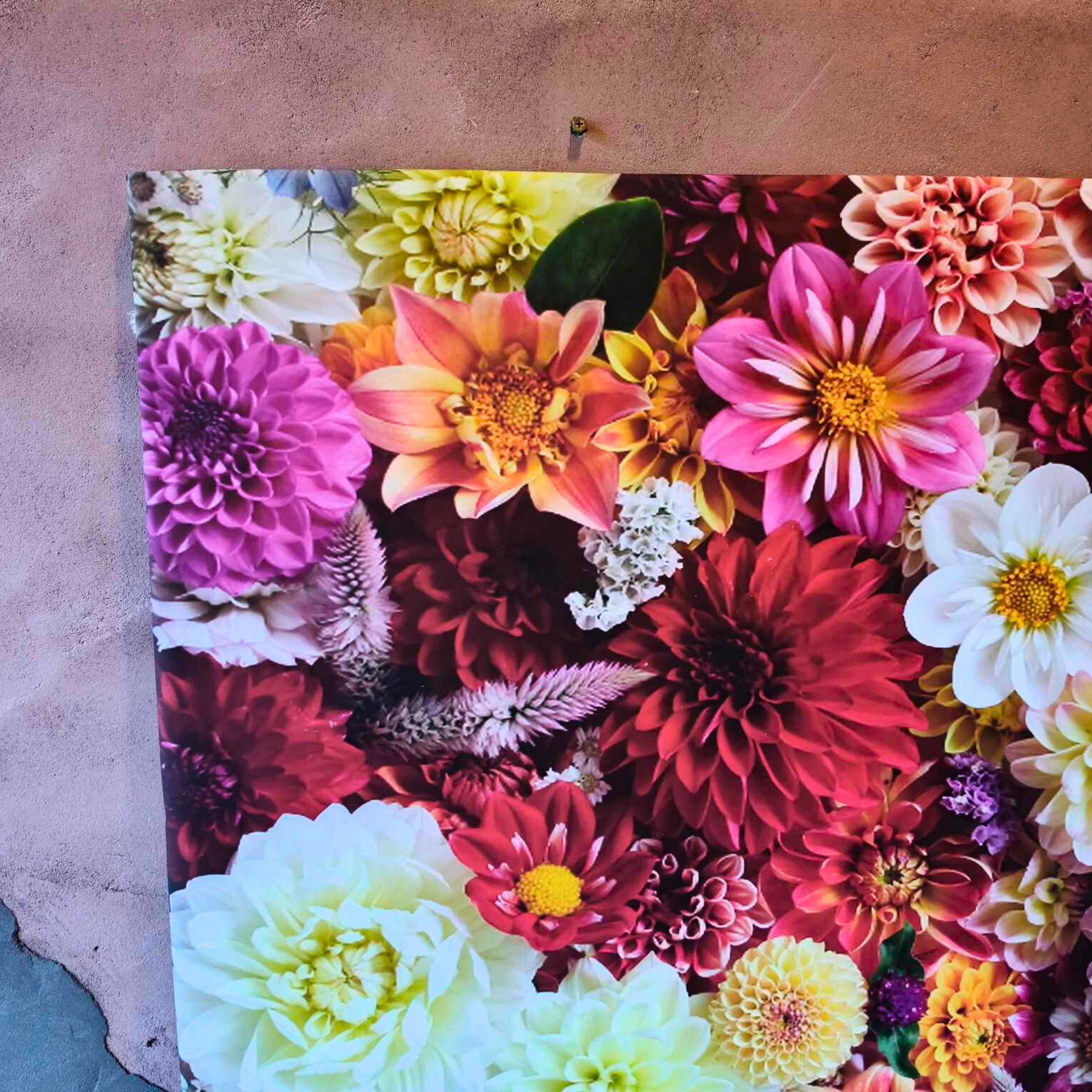 A close up of a large floral canvas covered in bright cheerful dahlias by Gracie-Mae Photography.