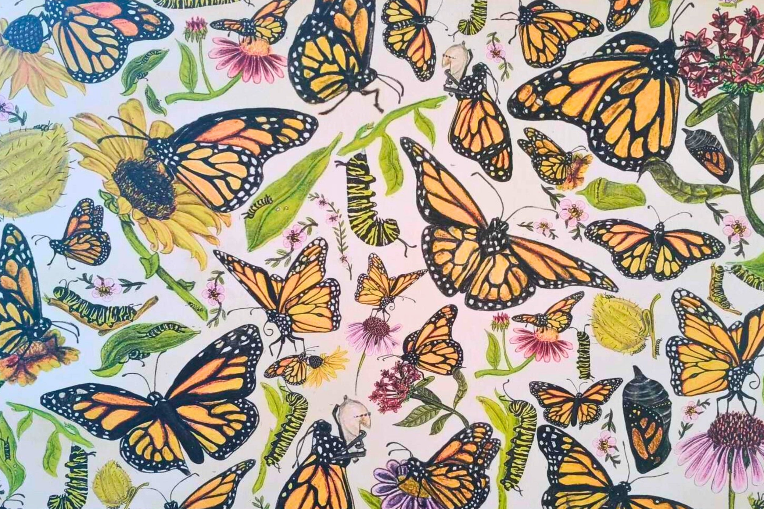 A butterfly canvas hand drawn by Milly at The Stripey Caterpillar.