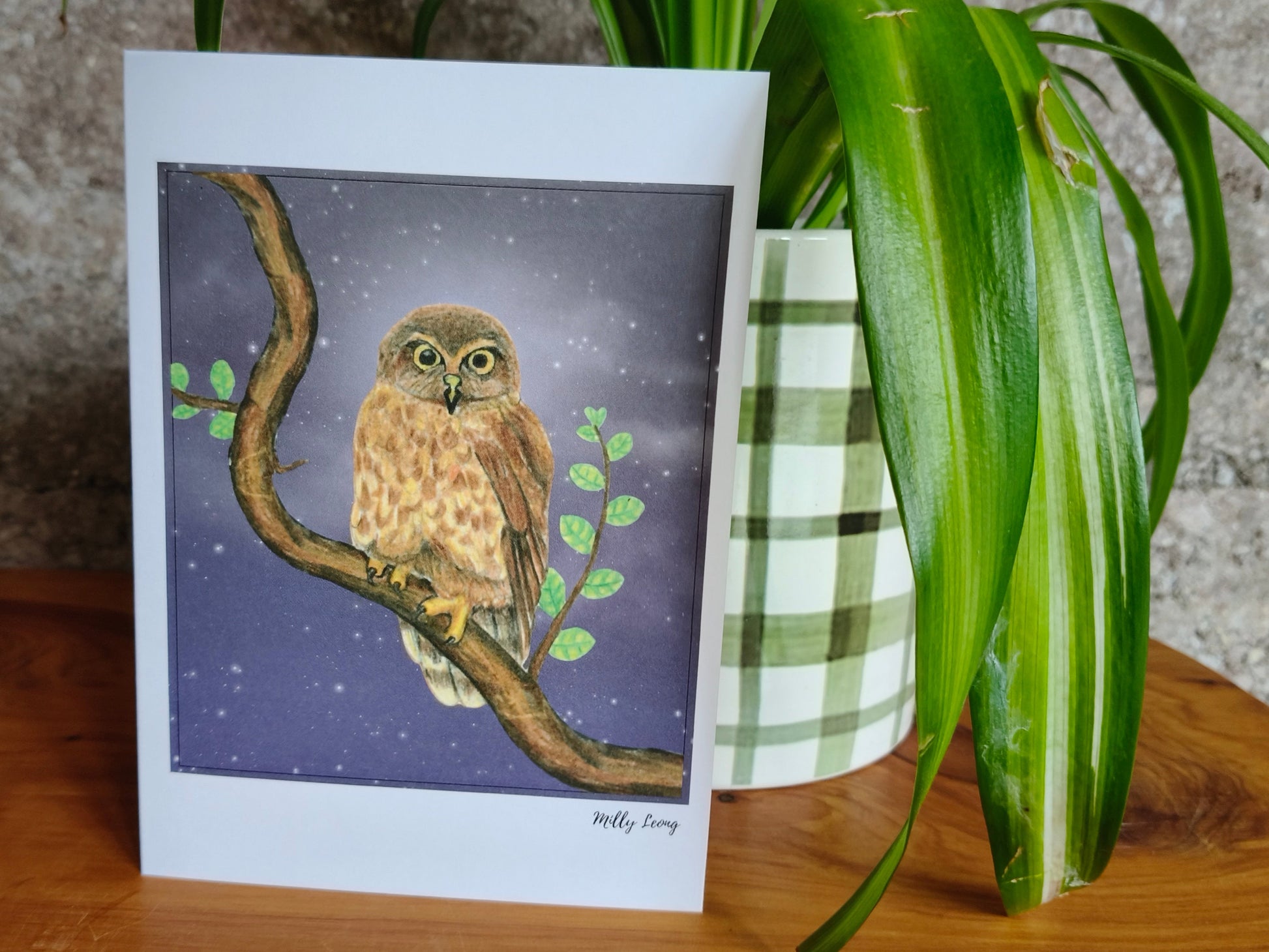 Hand-drawn morepork NZ owl greeting card by Milly – blank inside