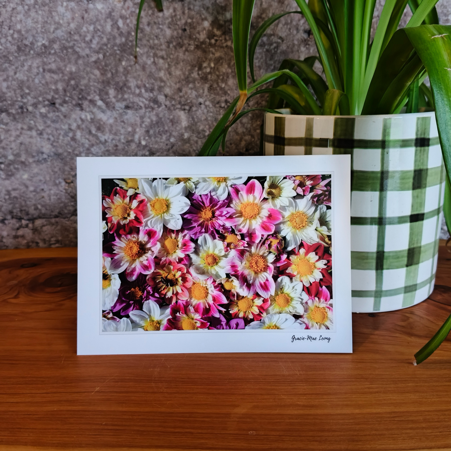 Dahlia Greeting Card Set – 5 Designs by Gracie-Mae
