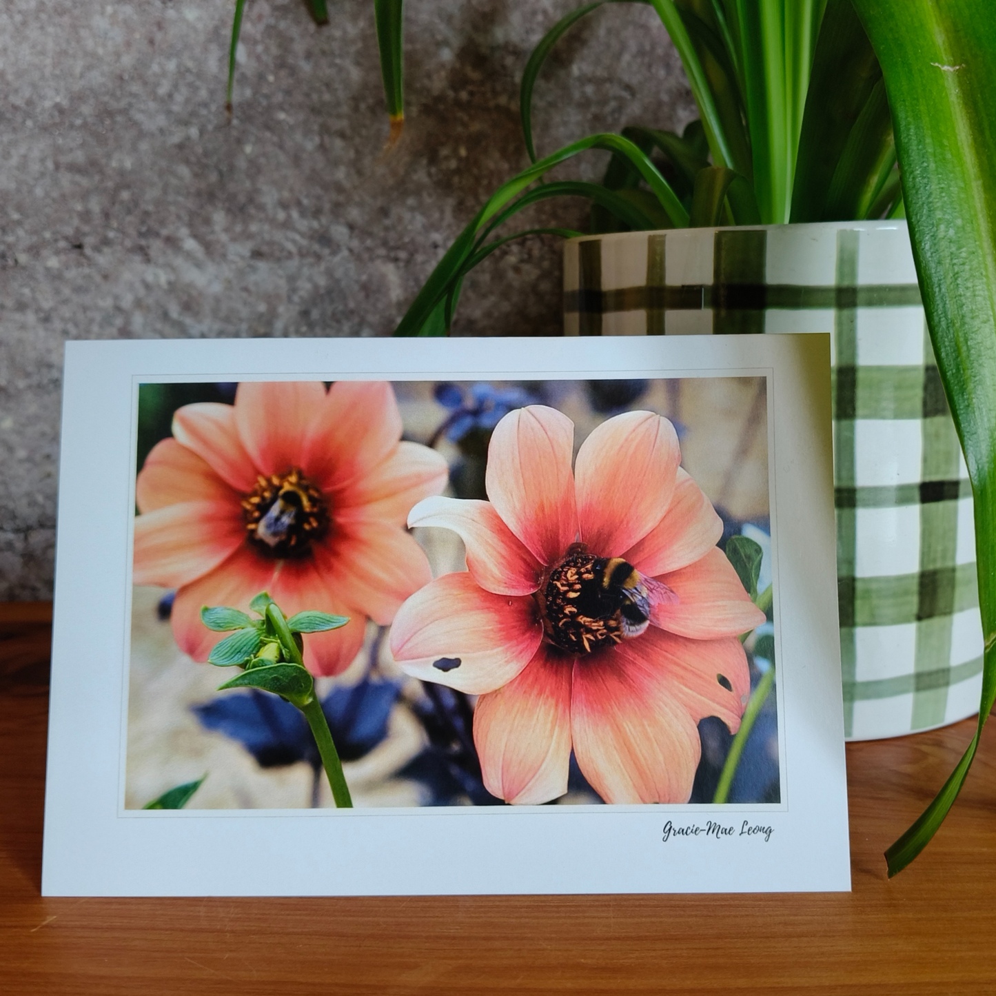 Greeting card featuring bumblebee on orange dahlia photography by Gracie-Mae – blank inside