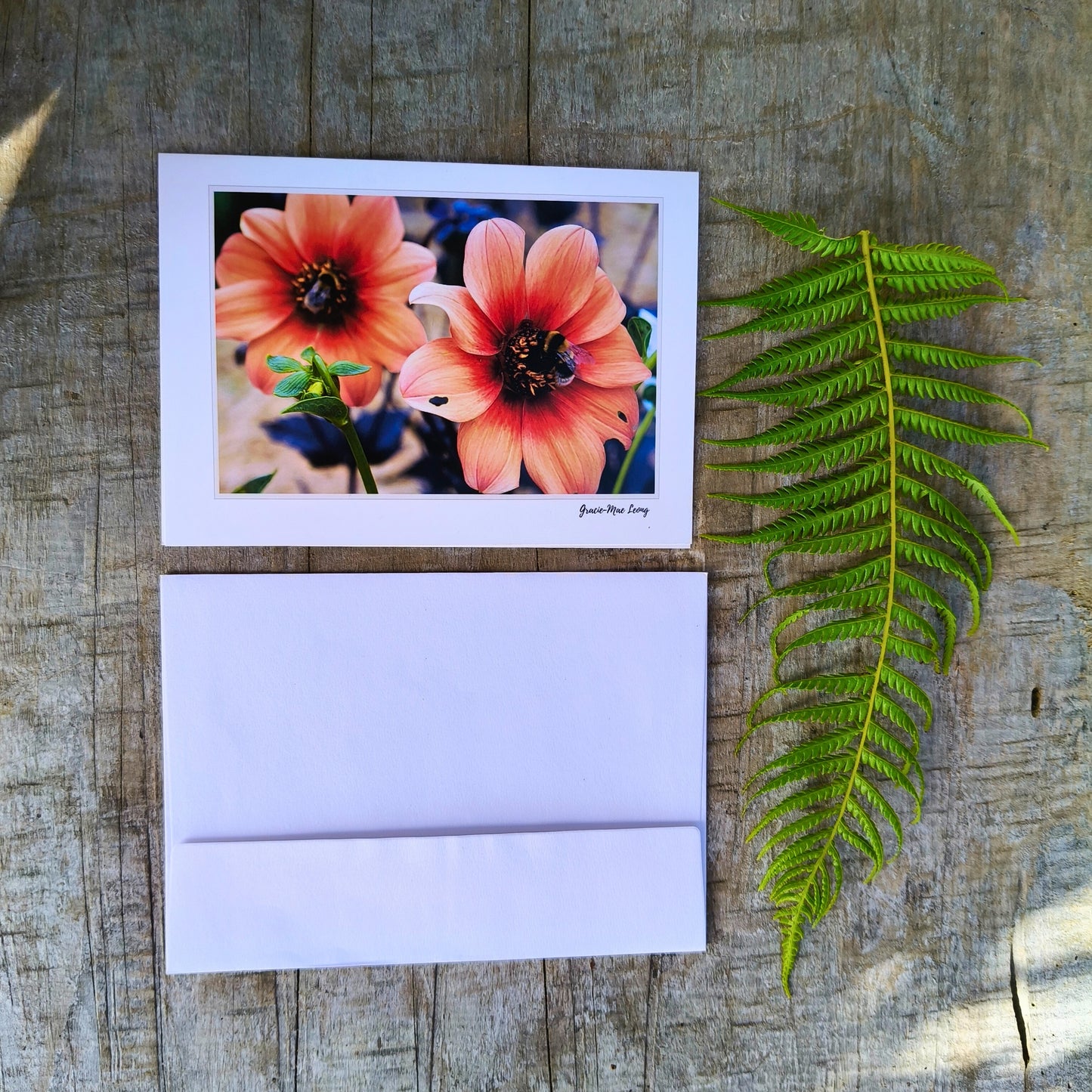 Greeting card featuring bumblebee on orange dahlia photography by Gracie-Mae – blank inside
