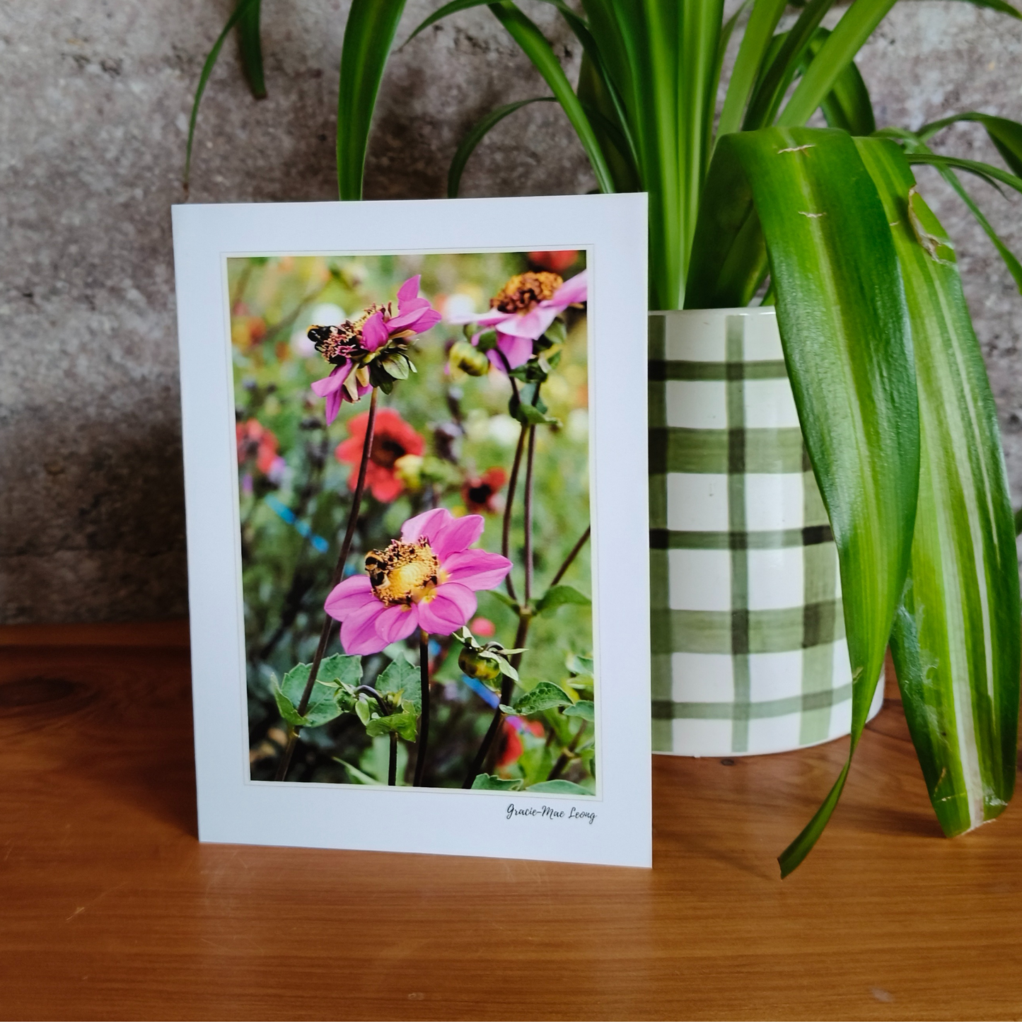 Greeting card featuring purple anemone dahlia photography by Gracie-Mae – blank inside