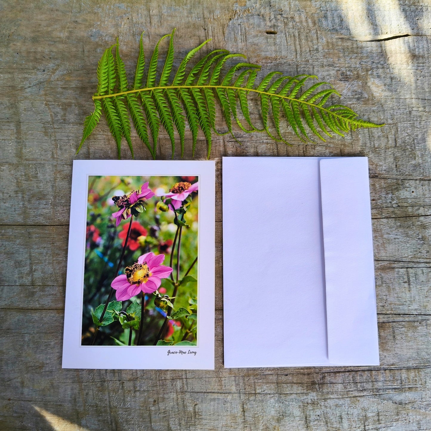 Greeting card featuring purple anemone dahlia photography by Gracie-Mae – blank inside