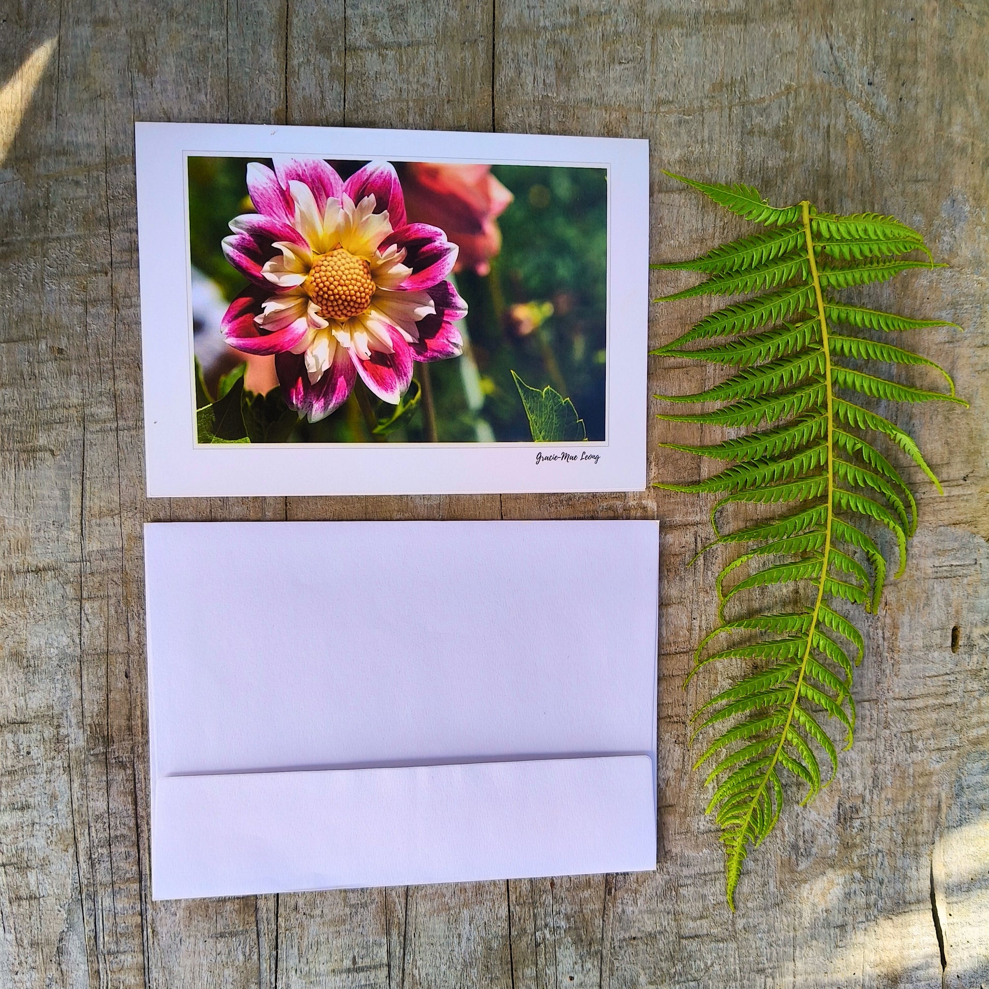 Greeting card featuring pink collarette dahlia photography by Gracie-Mae – blank inside