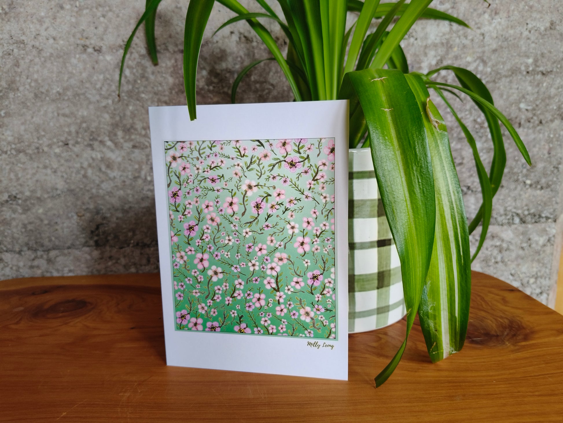 Hand-drawn mānuka flower Kiwiana greeting card by Milly – blank inside