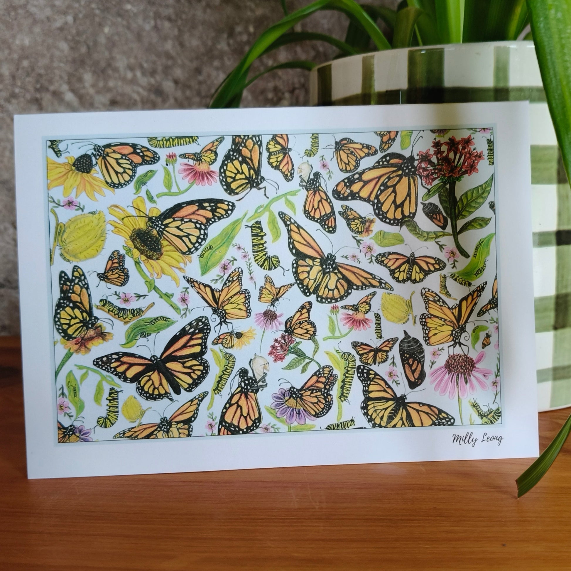 Hand-drawn butterfly flatlay greeting card by Milly – blank inside