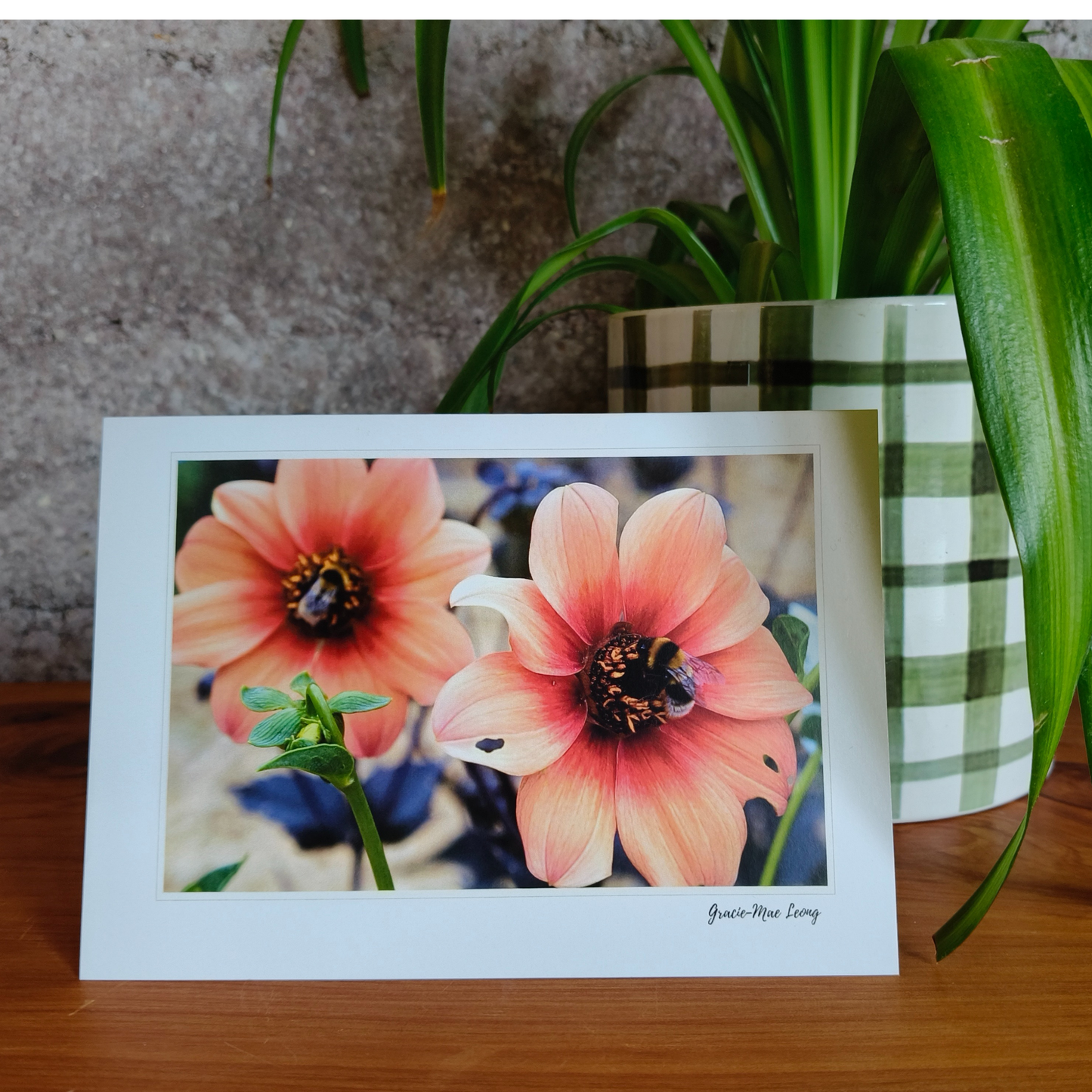 Garden scene greeting cards featuring photography by Gracie-Mae – blank inside