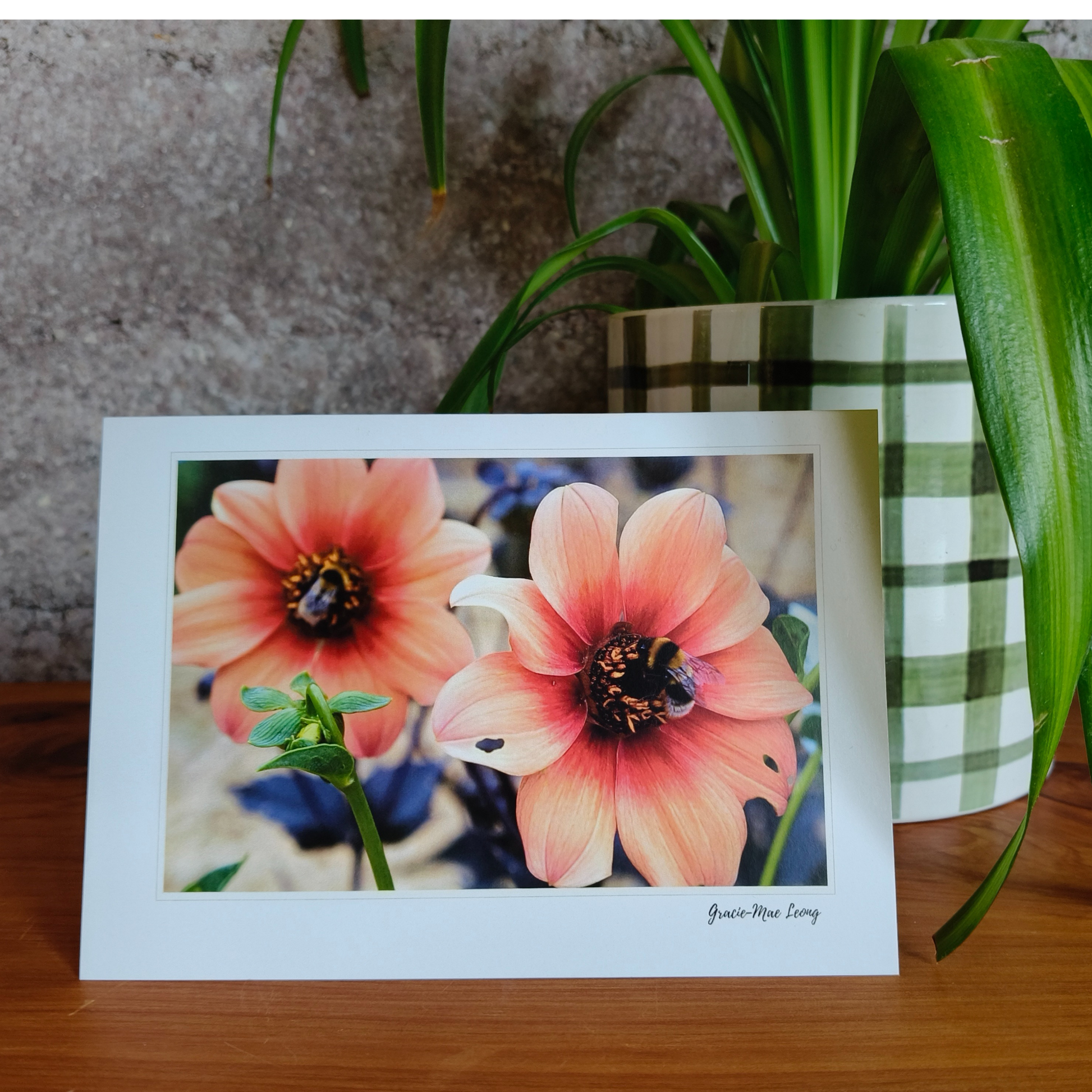 Garden scene greeting cards featuring photography by Gracie-Mae – blank inside