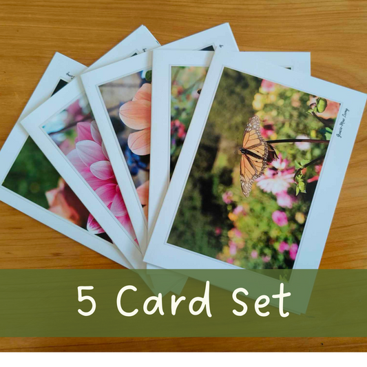 Set of five garden scene greeting cards featuring photography by Gracie-Mae – blank inside”