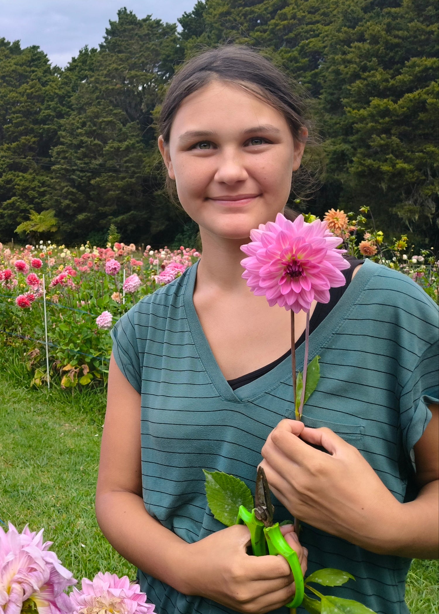 Gracie holding a pink dahlia in a field of flowers with trees in the background