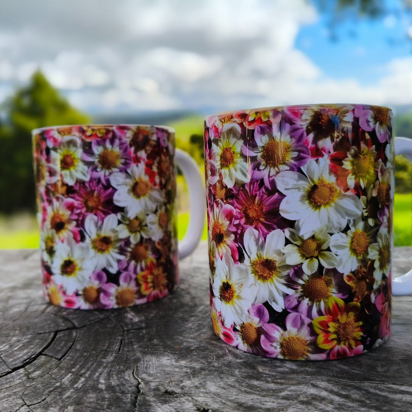 A stunning mug fully wrapped in one-of-a-kind collarette dahlias bred, grown and photographed by Gracie-Mae Photography.