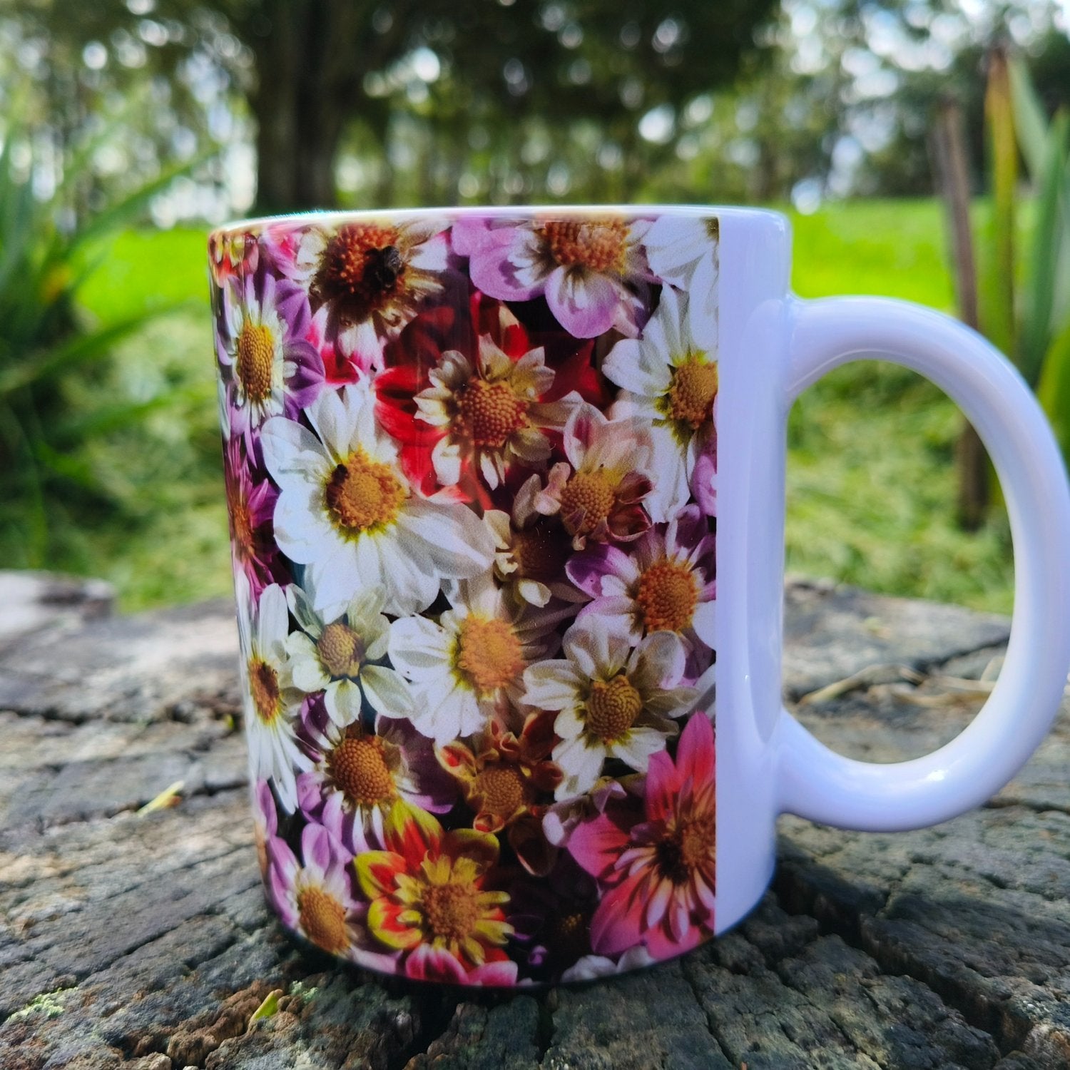 A stunning mug fully wrapped in one-of-a-kind collarette dahlias bred, grown and photographed by Gracie-Mae Photography.