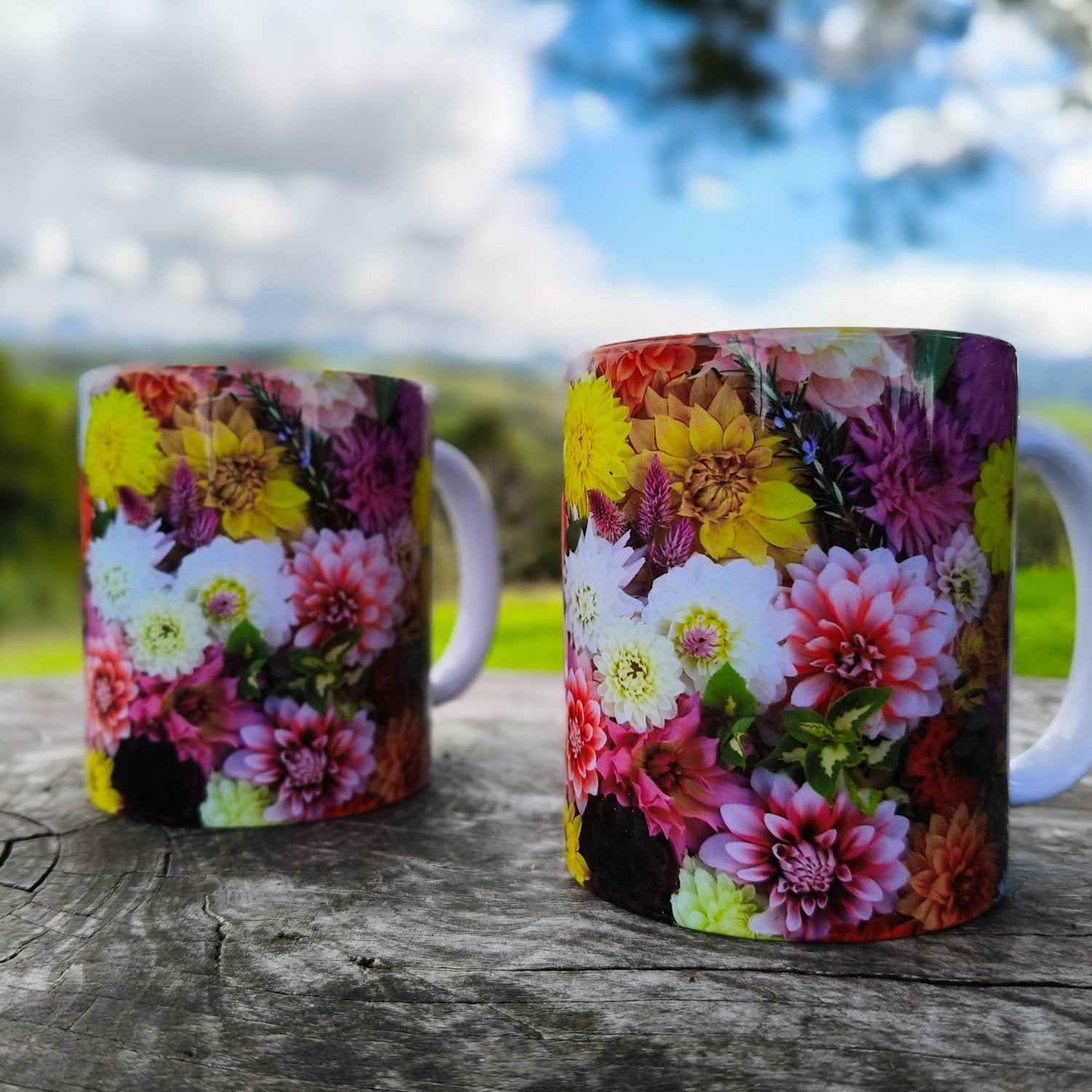 Two cheerful floral mugs fully wrapped with dahlias bred, grown and photographed by Gracie-Mae Photography.