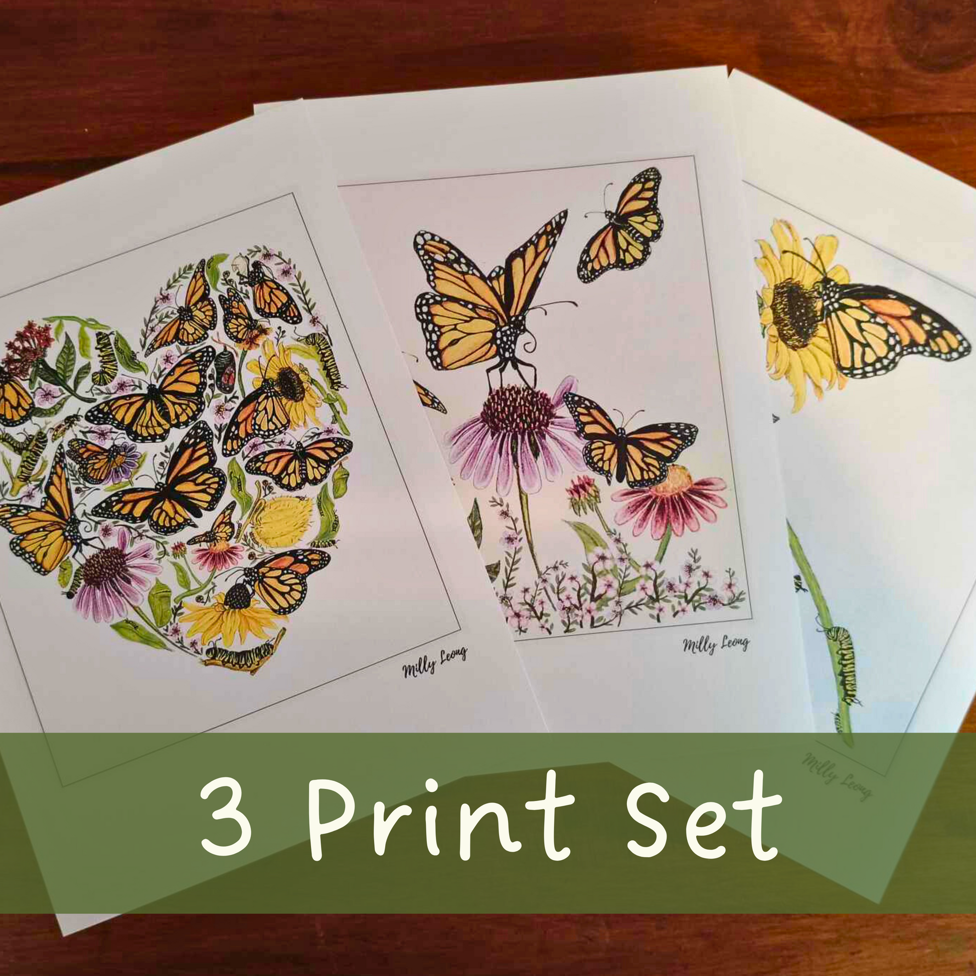 Butterfly Story art print set by Milly – includes Butterfly Life Cycle, Butterfly Heart, Butterflies & Flower
